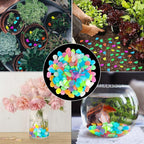 🌈Colorful Glow-in-the-Dark Garden Stones 🚚Limited-Time Free Shipping🆓